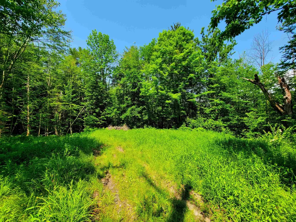 84 Hemp Hill Road Bristol NH 03222