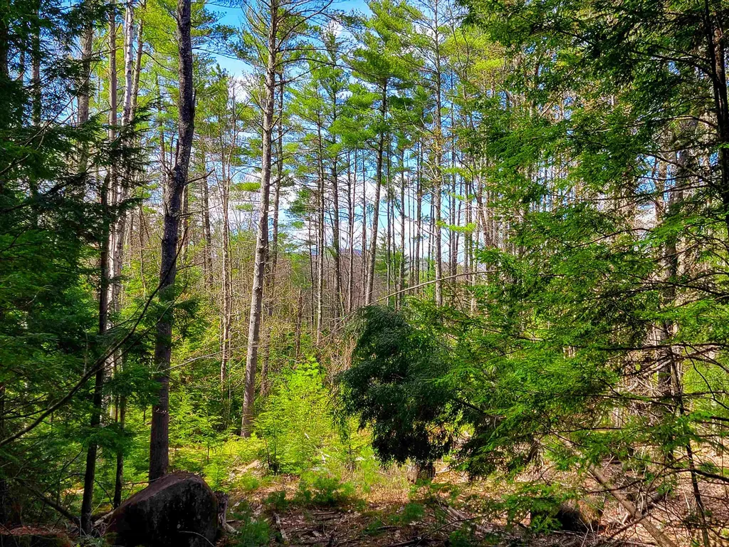 84 Hemp Hill Road Bristol NH 03222
