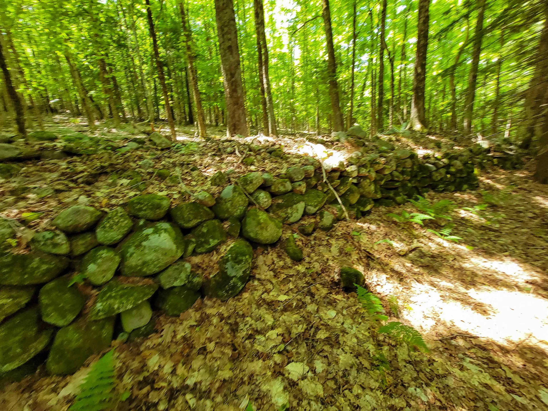84 Hemp Hill Road Bristol NH 03222