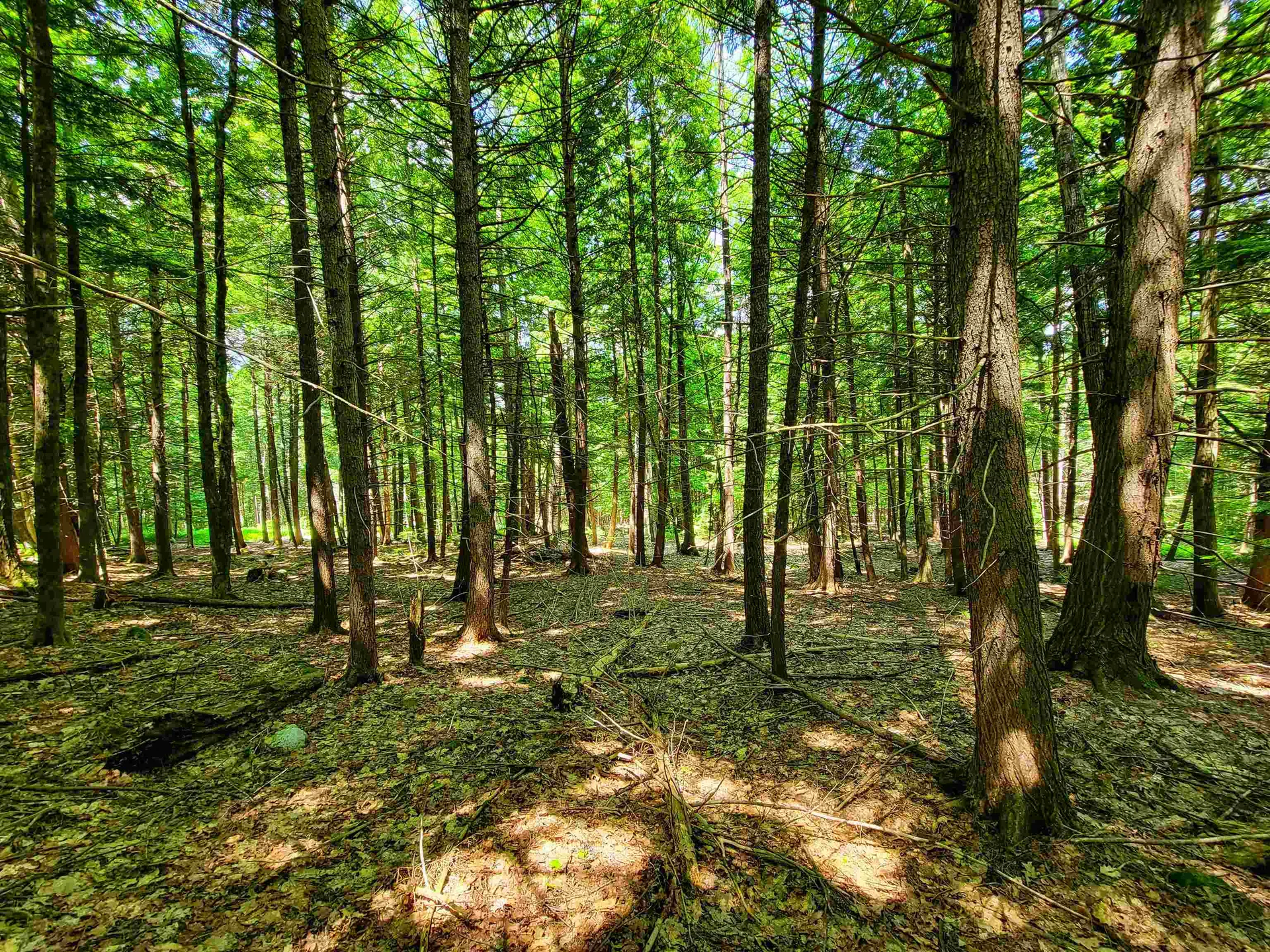 84 Hemp Hill Road Bristol NH 03222