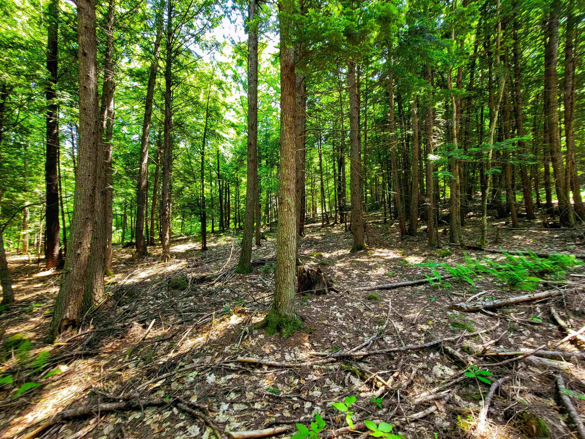 84 Hemp Hill Road Bristol NH 03222