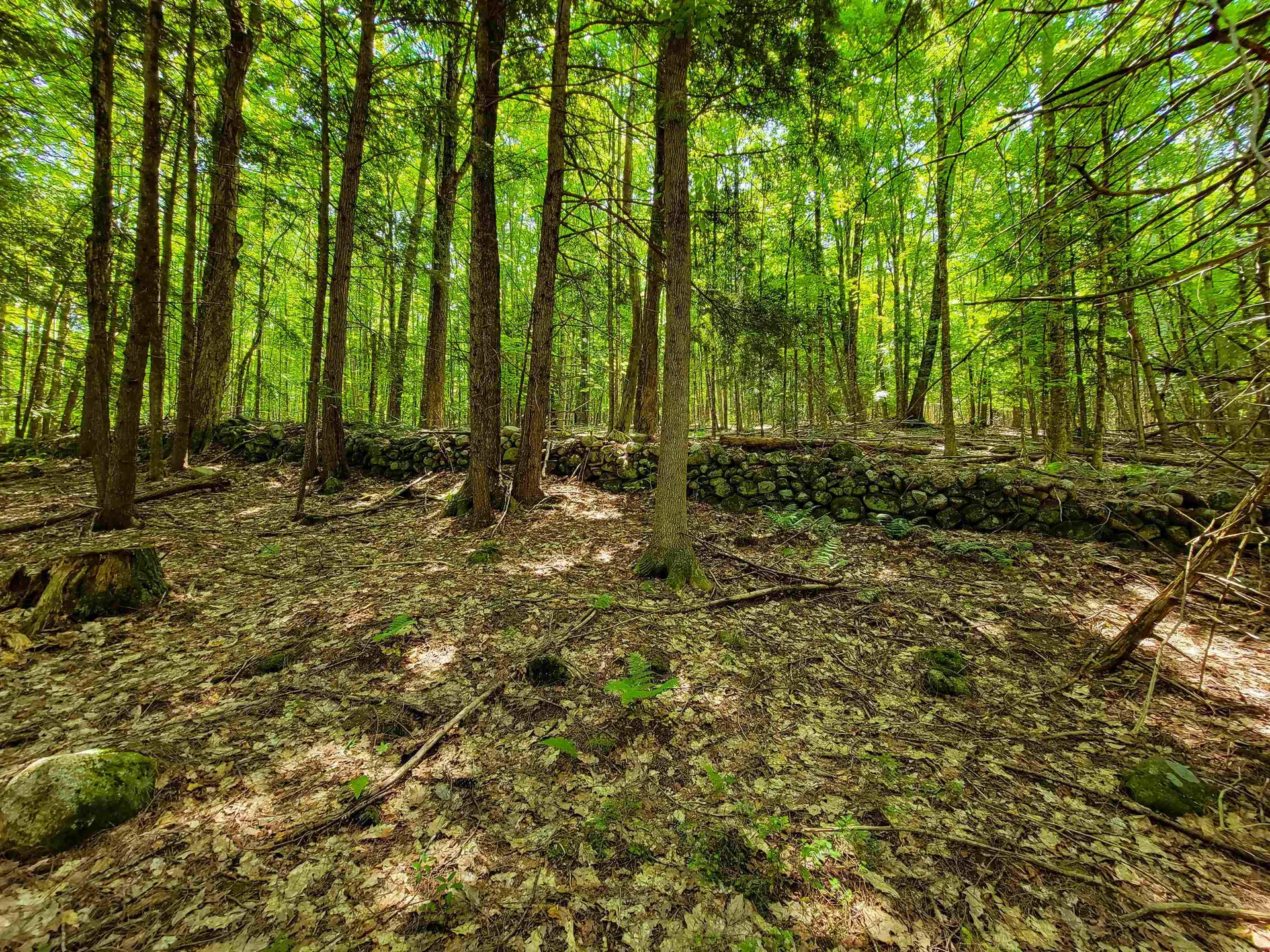 84 Hemp Hill Road Bristol NH 03222