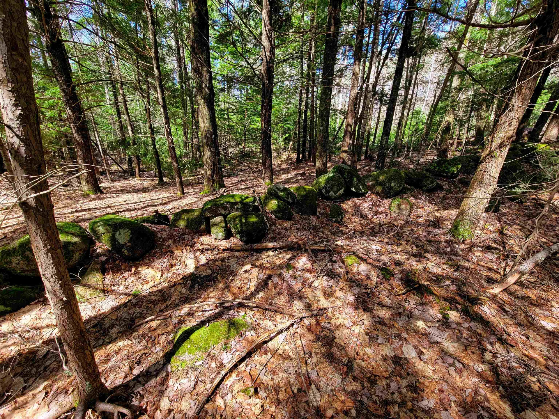 84 Hemp Hill Road Bristol NH 03222