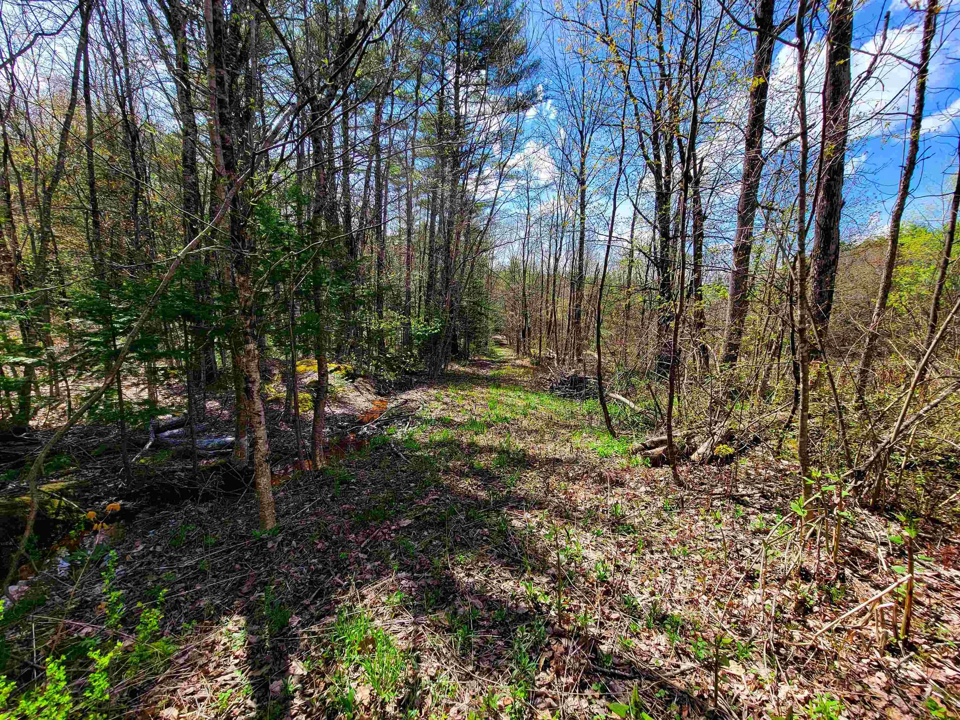 84 Hemp Hill Road Bristol NH 03222