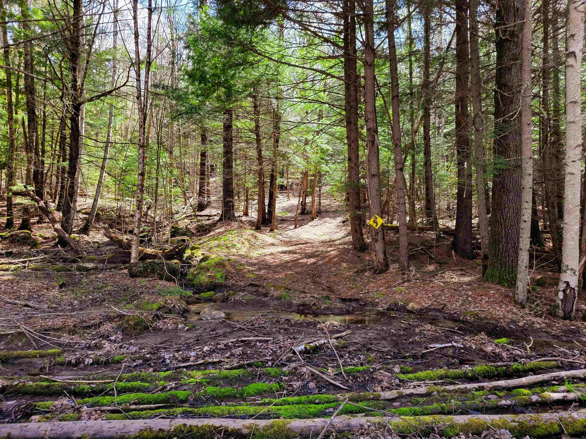 84 Hemp Hill Road Bristol NH 03222