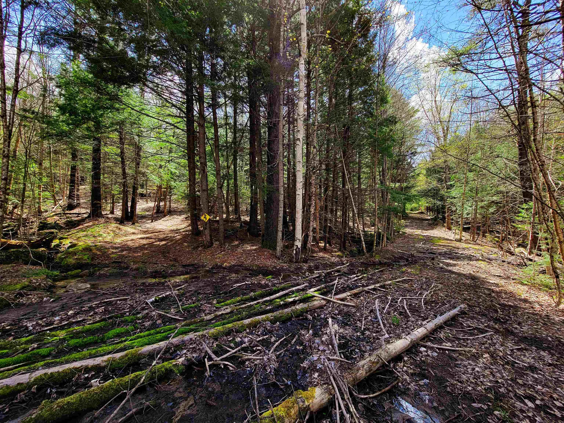 84 Hemp Hill Road Bristol NH 03222