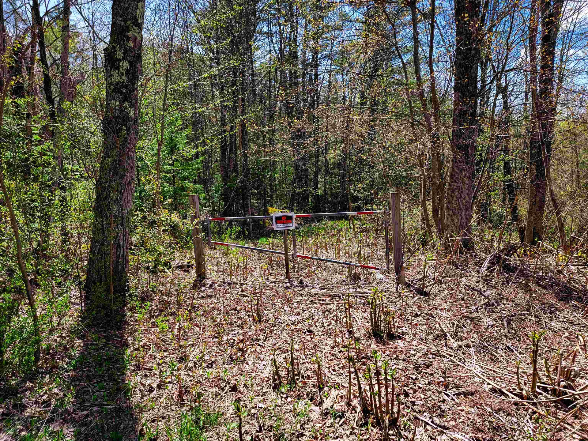 84 Hemp Hill Road Bristol NH 03222