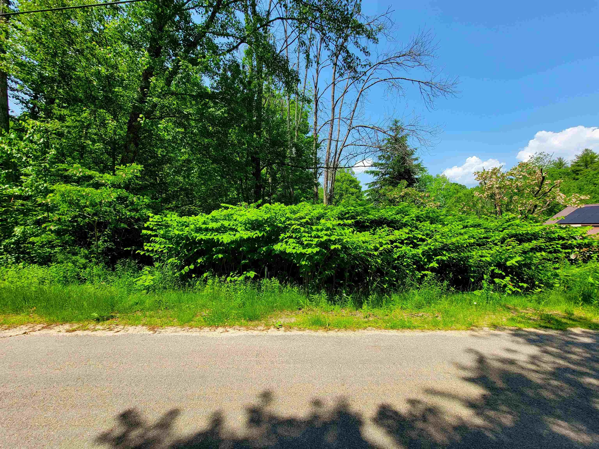 84 Hemp Hill Road Bristol NH 03222