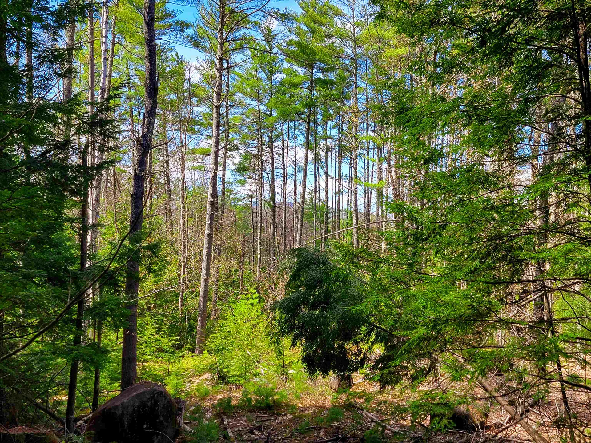 84 Hemp Hill Road Bristol NH 03222