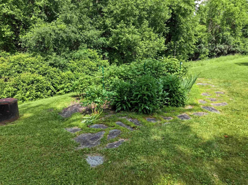 12 Overbrook Drive Middlebury VT 05753