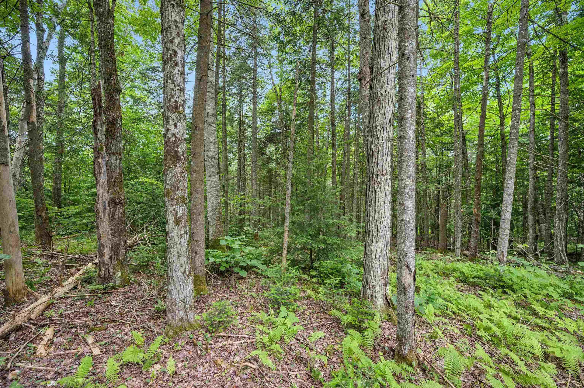 0 Macey Road Middlesex VT 05602