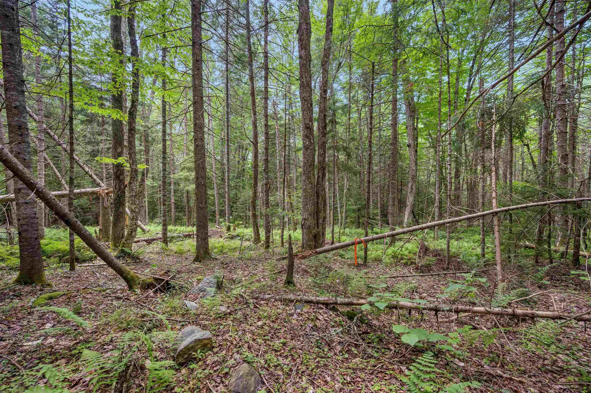 0 Macey Road Middlesex VT 05602