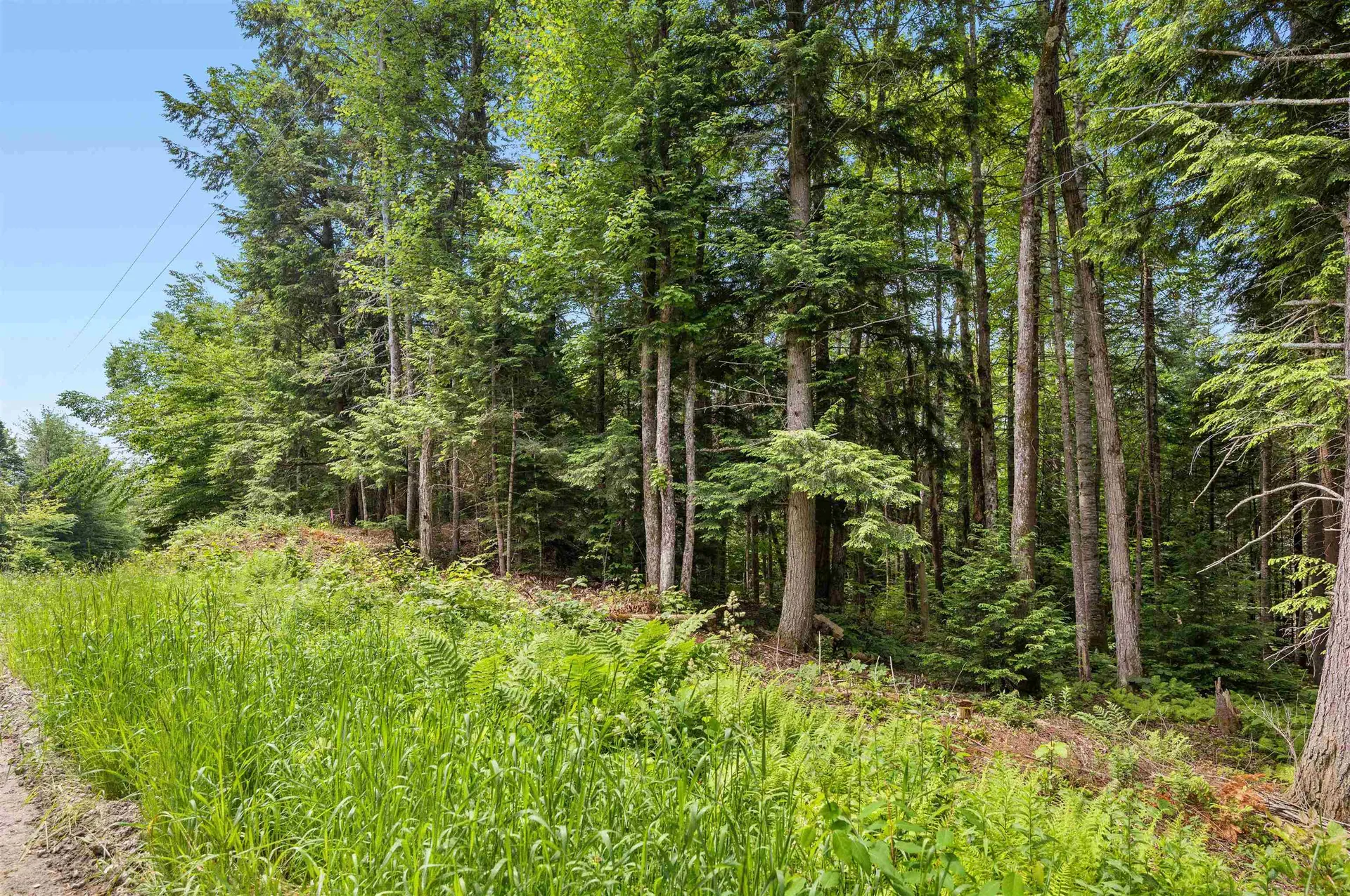 0 Macey Road Middlesex VT 05602