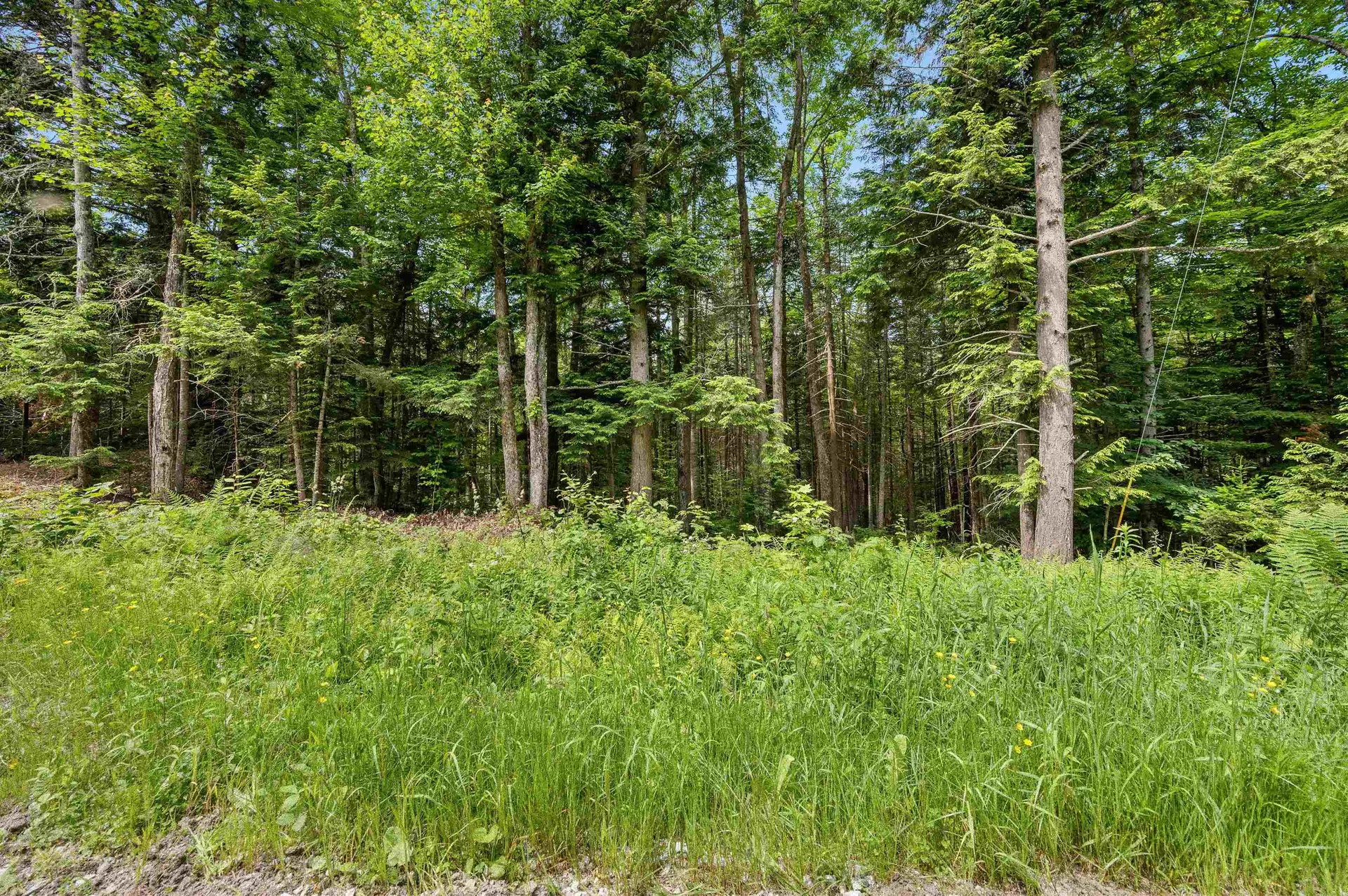 0 Macey Road Middlesex VT 05602
