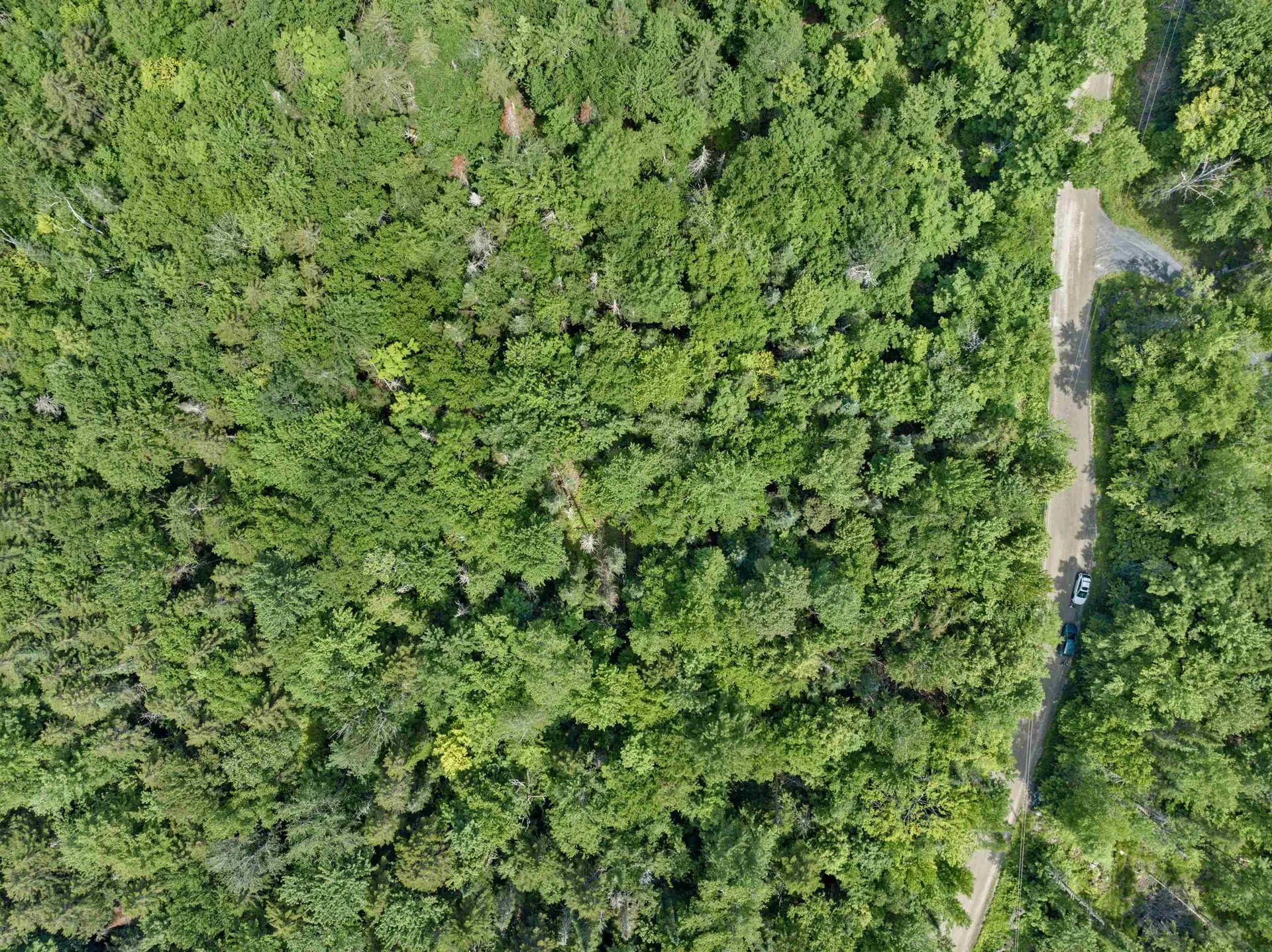 0 Macey Road Middlesex VT 05602