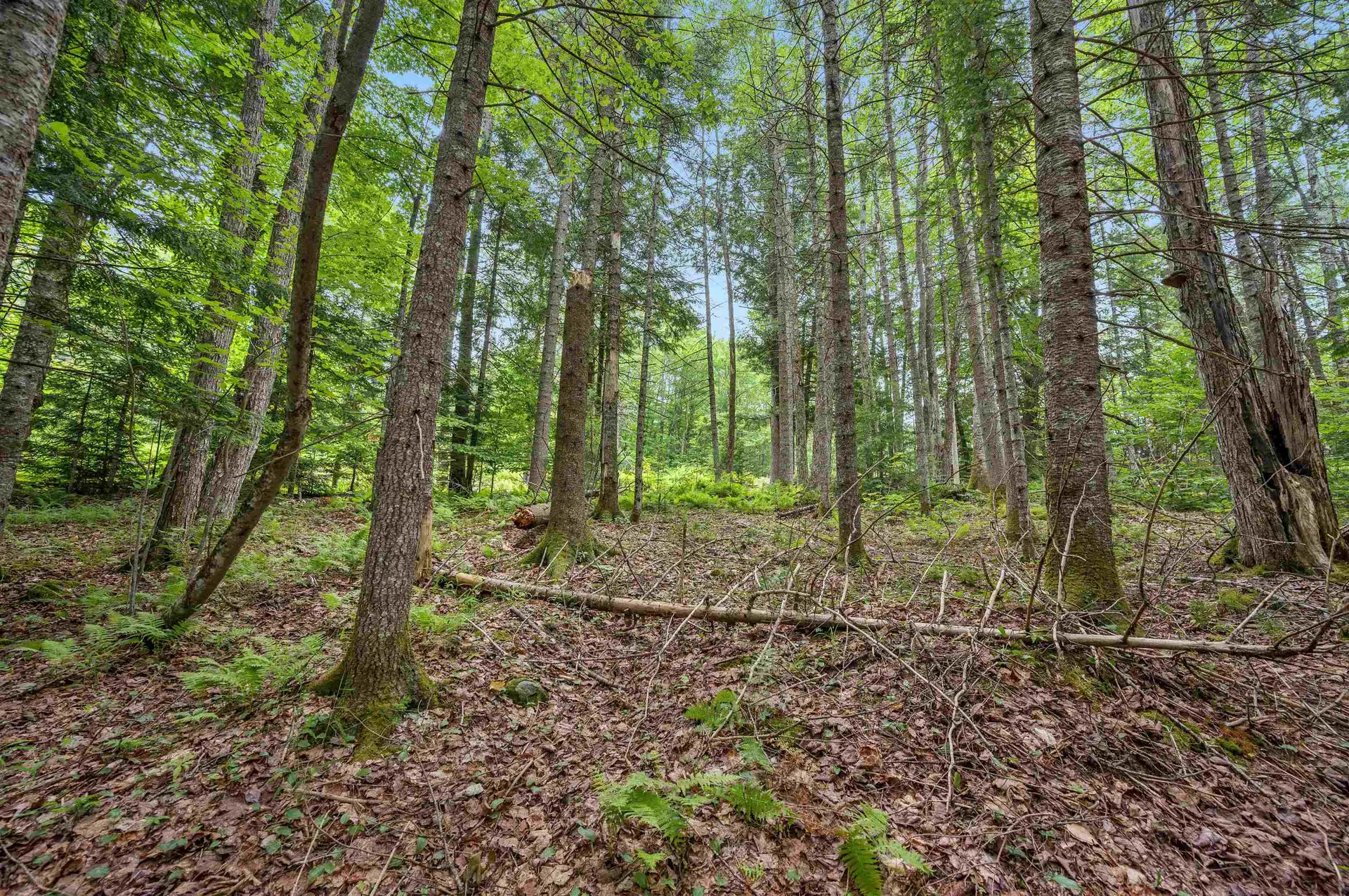 0 Macey Road Middlesex VT 05602