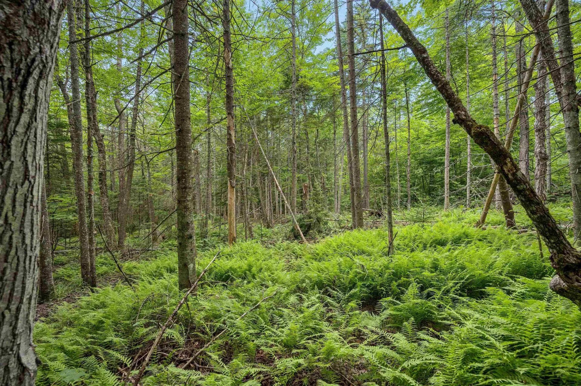 0 Macey Road Middlesex VT 05602