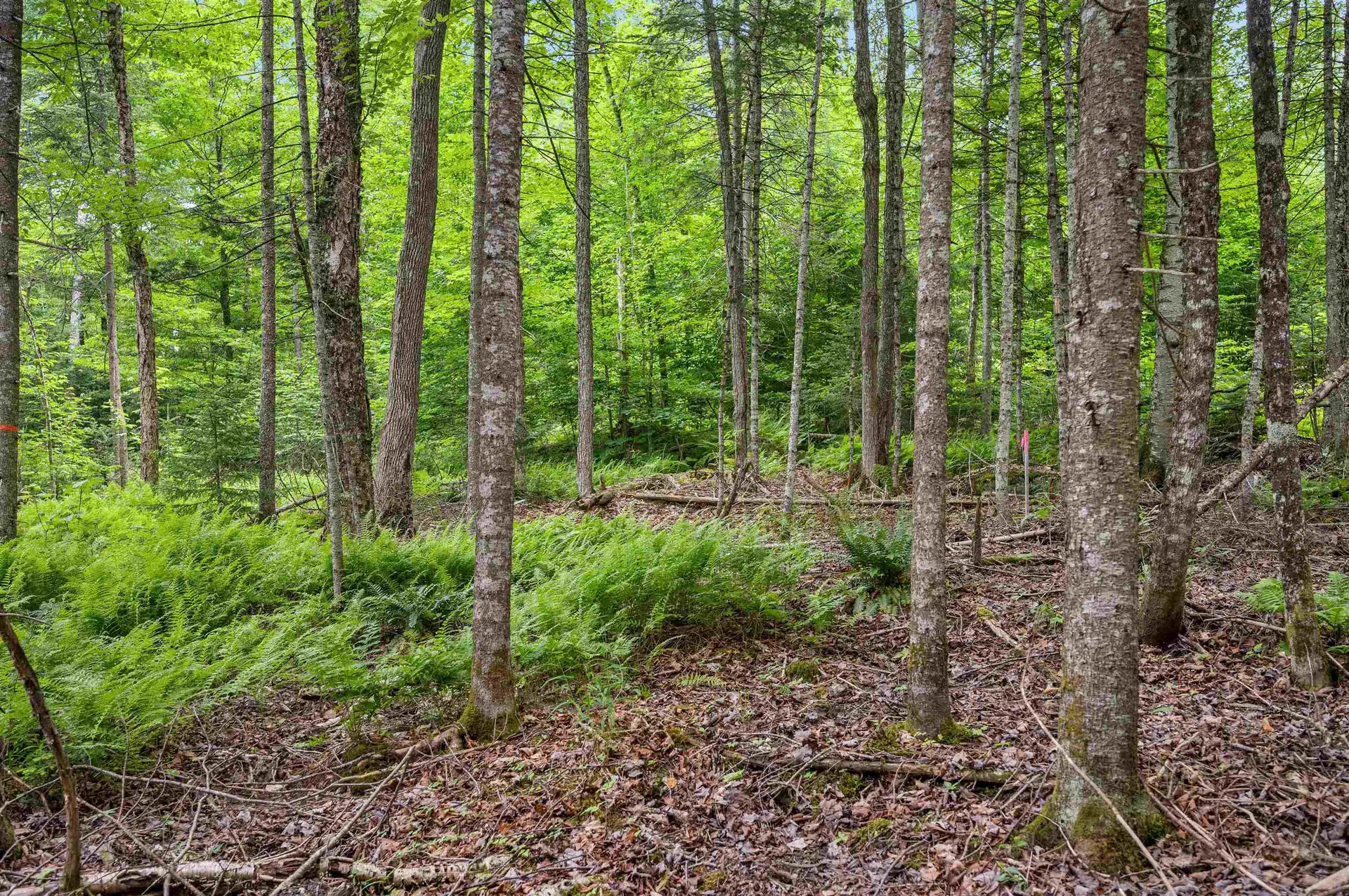 0 Macey Road Middlesex VT 05602