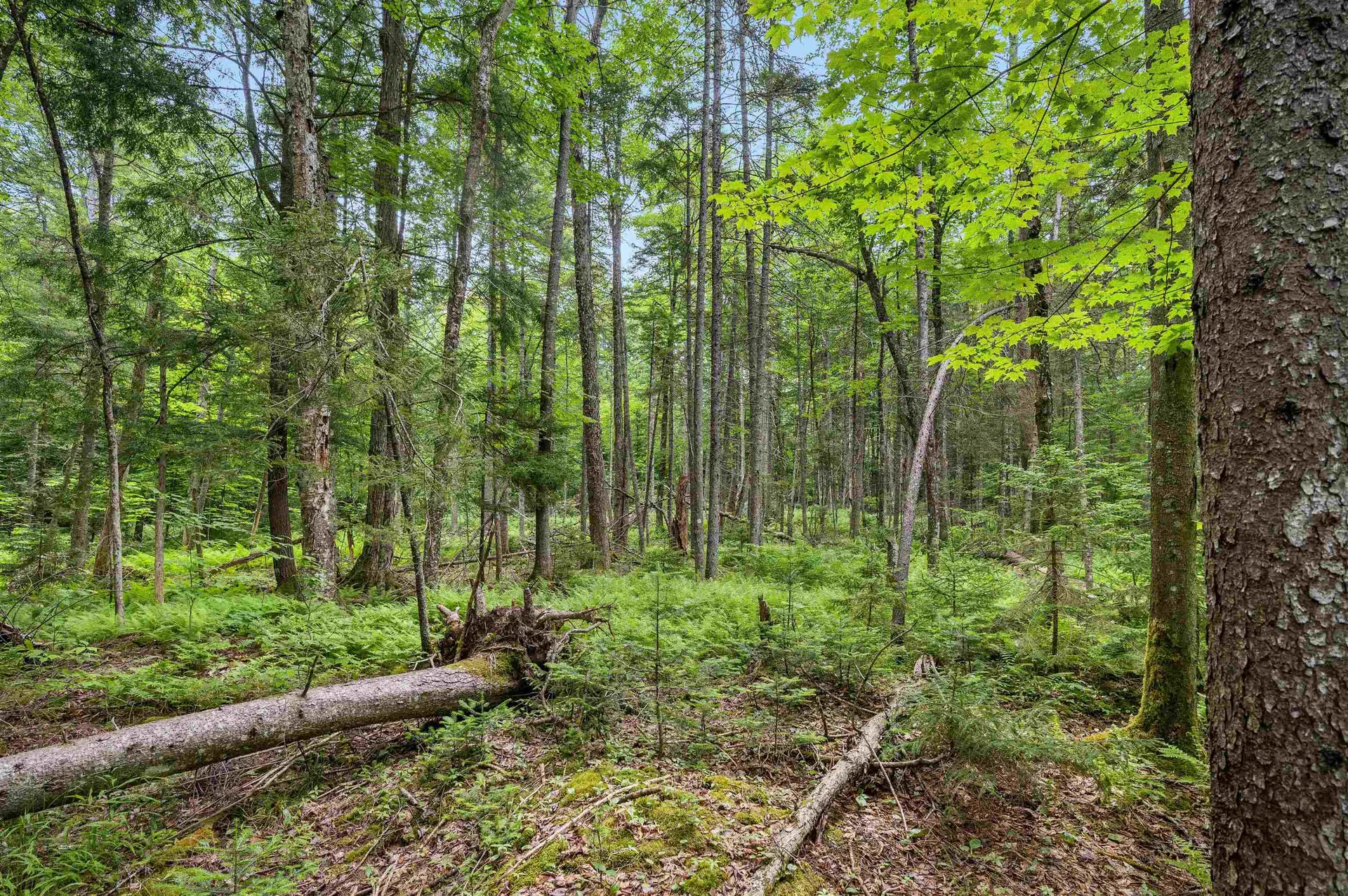 0 Macey Road Middlesex VT 05602