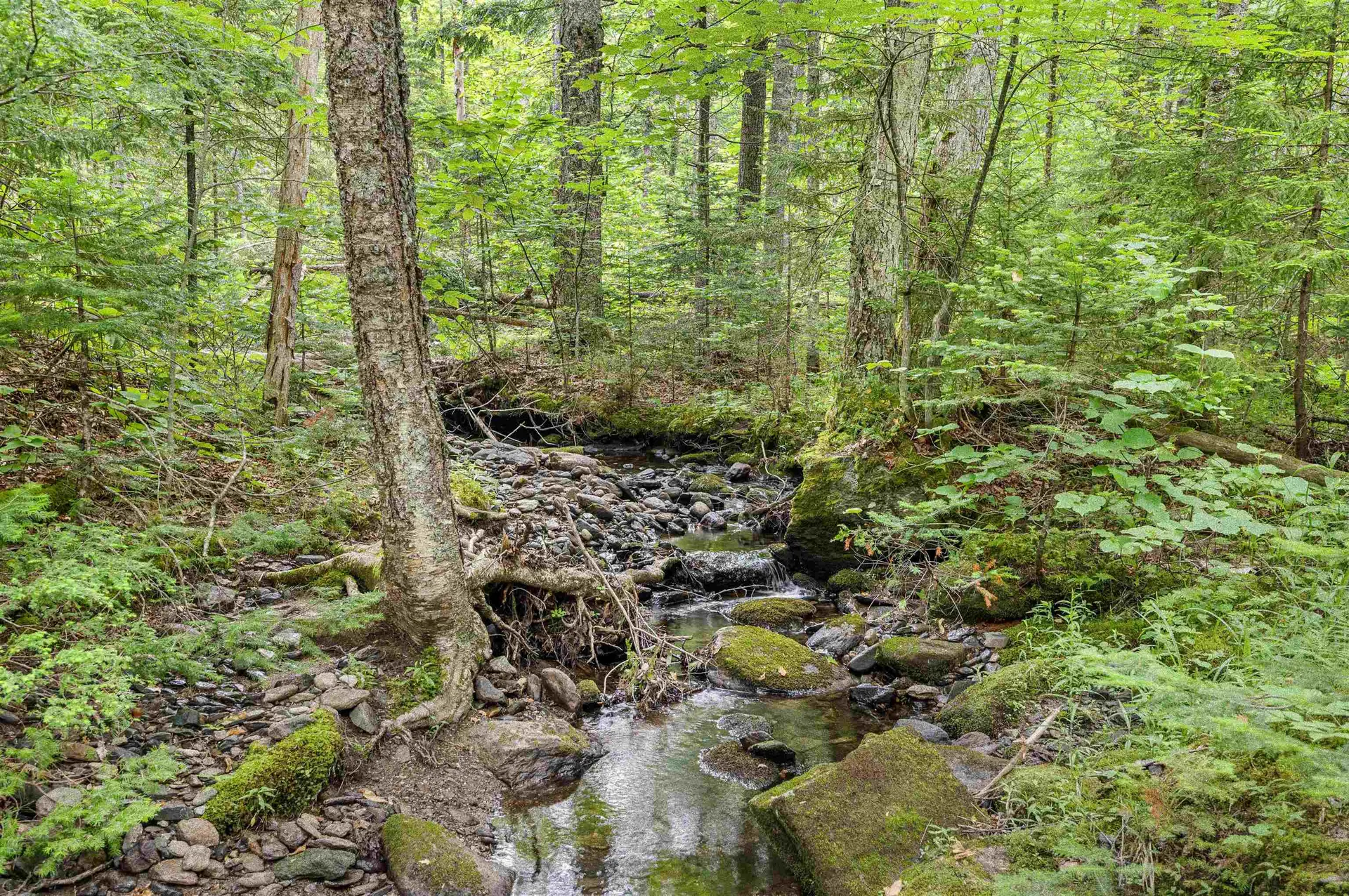 0 Macey Road Middlesex VT 05602