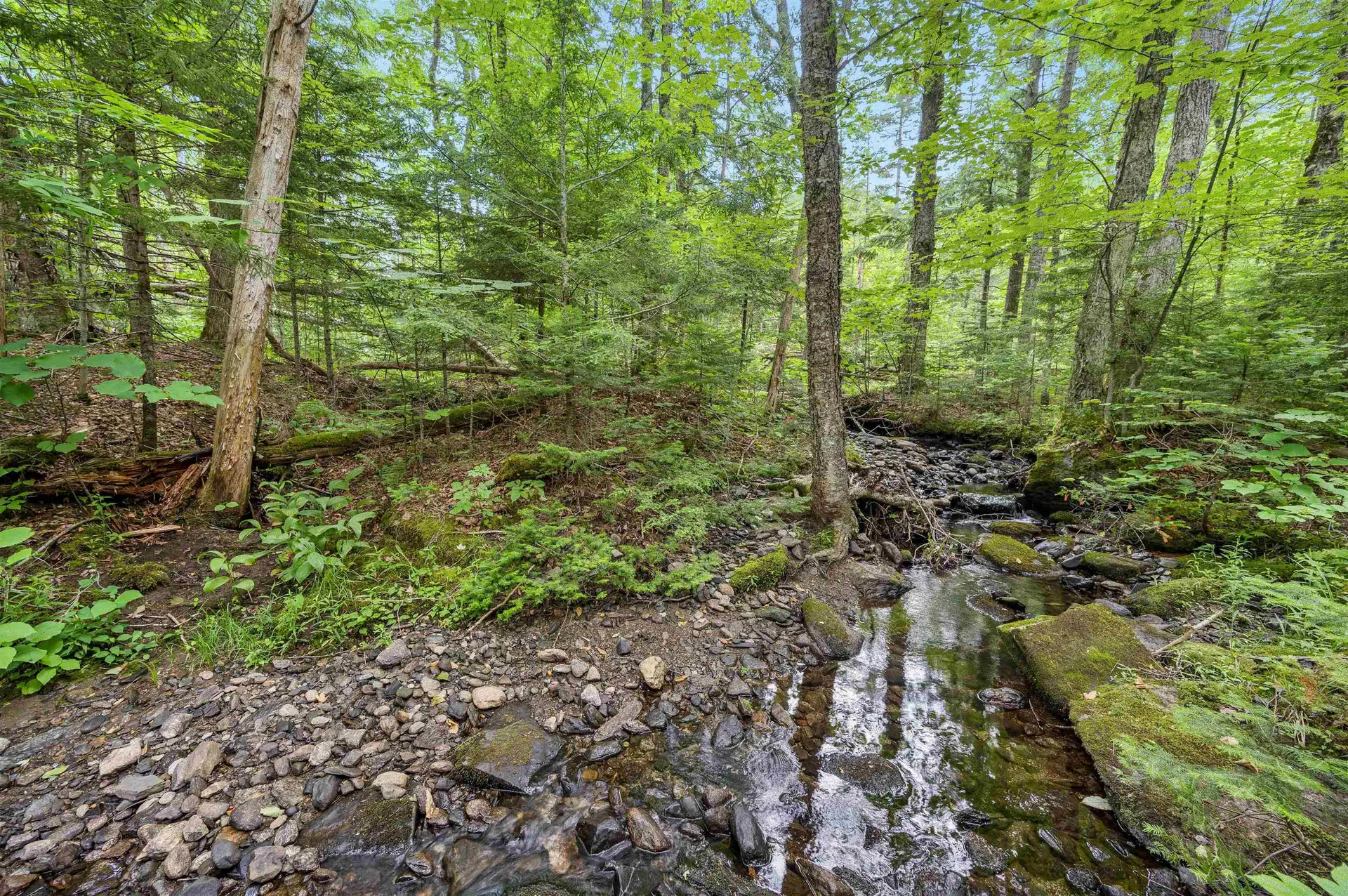 0 Macey Road Middlesex VT 05602