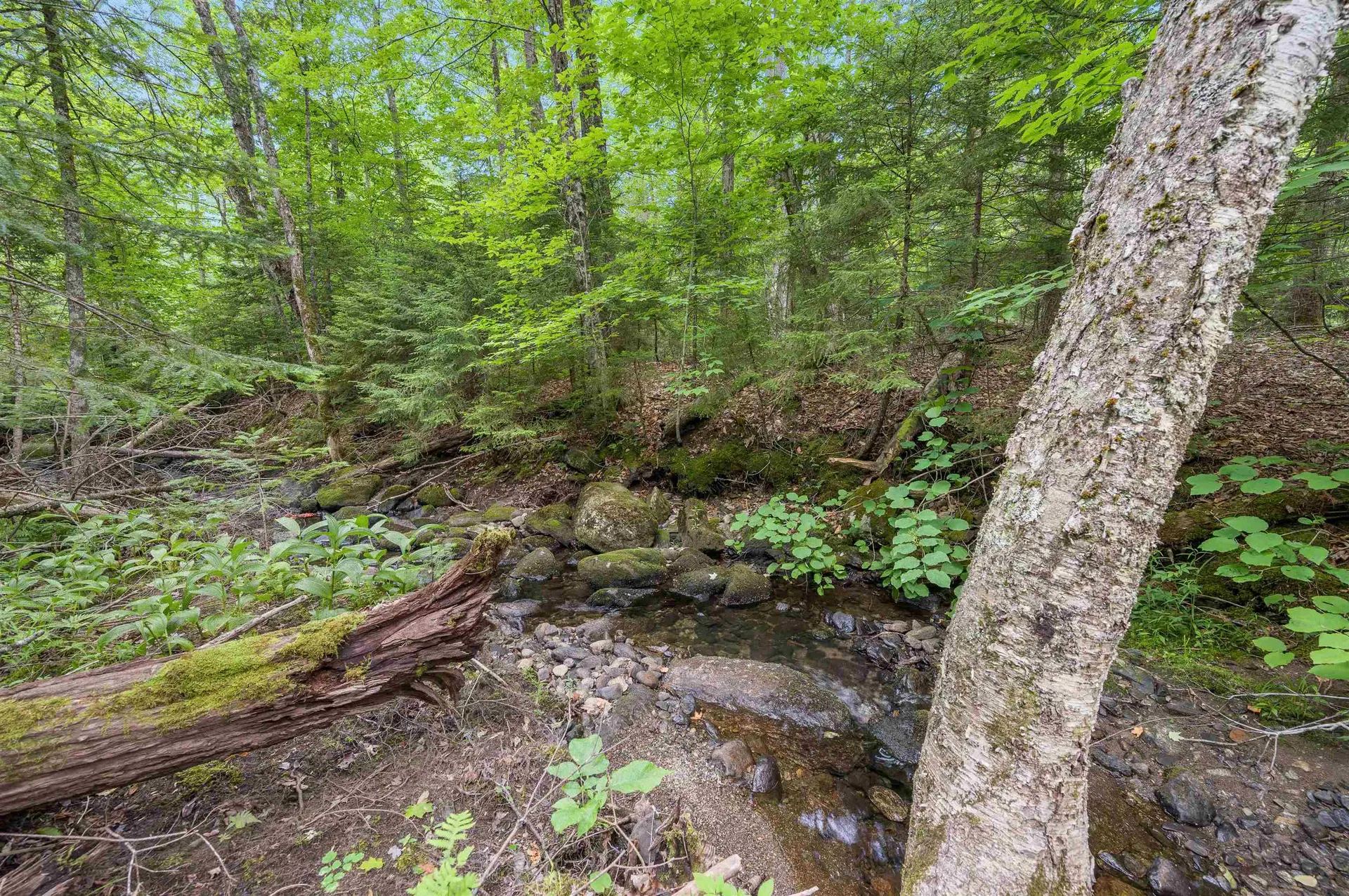 0 Macey Road Middlesex VT 05602