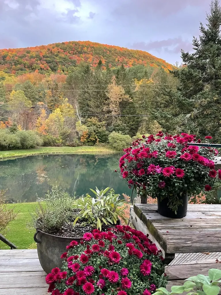 641 South Street Middletown Springs VT 05757