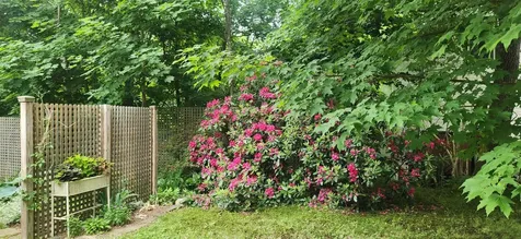 521 Washington Street Keene NH 03431
