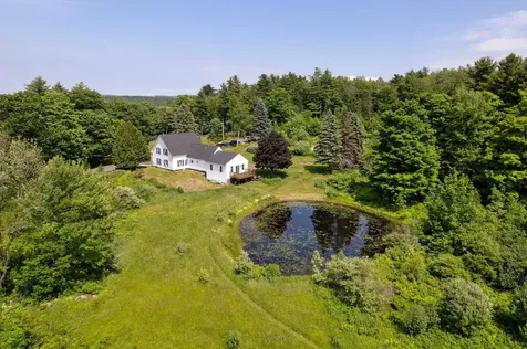 164 Hogg Hill Road Springfield NH 03284
