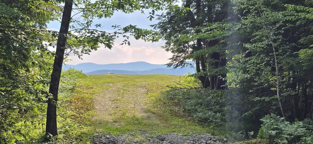 Lot 42 John Smith Hill Road Bridgewater NH 03222