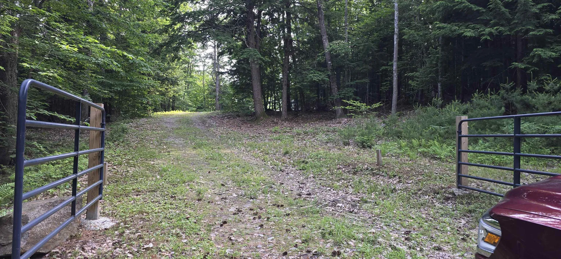 Lot 42 John Smith Hill Road Bridgewater NH 03222