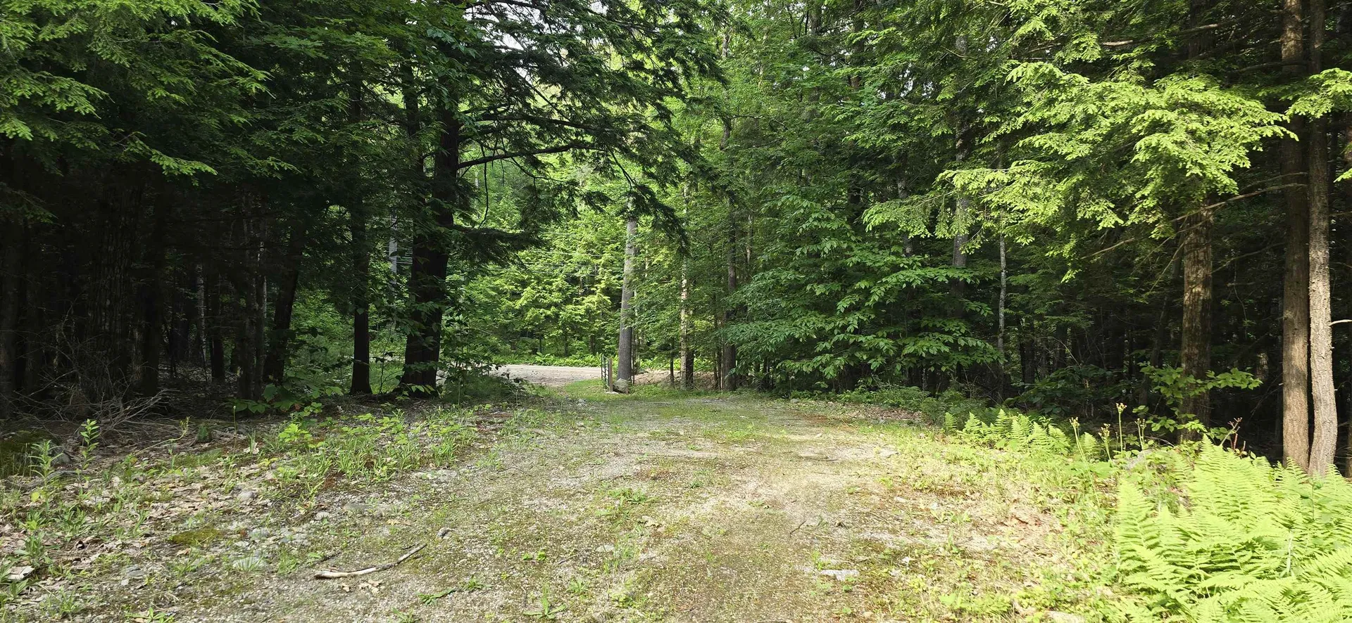 Lot 42 John Smith Hill Road Bridgewater NH 03222