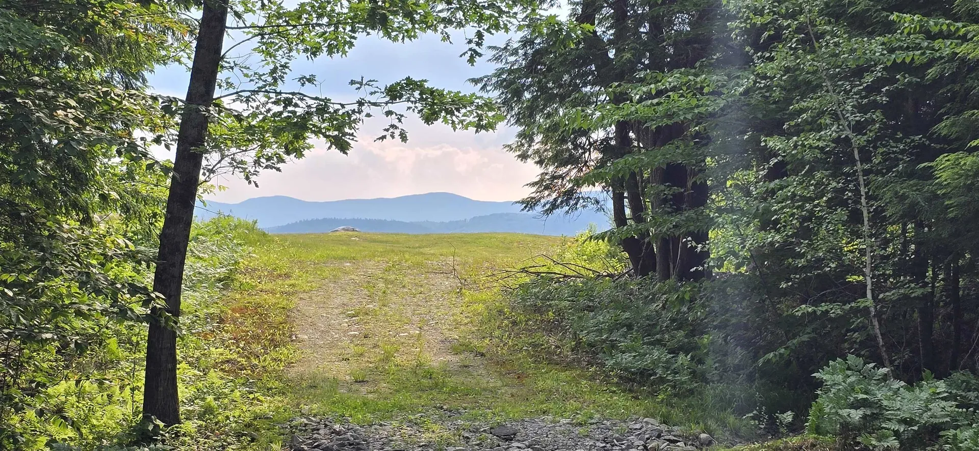 Lot 42 John Smith Hill Road Bridgewater NH 03222