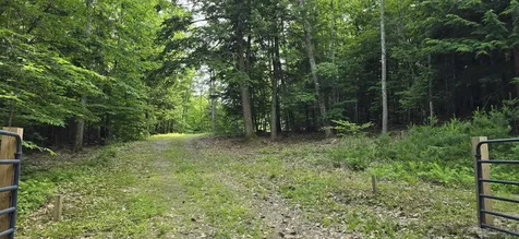 Lot 42 John Smith Hill Road Bridgewater NH 03222