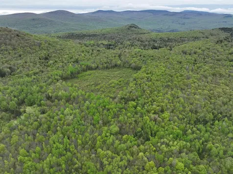 - Beck Pond Road Newark VT 05871