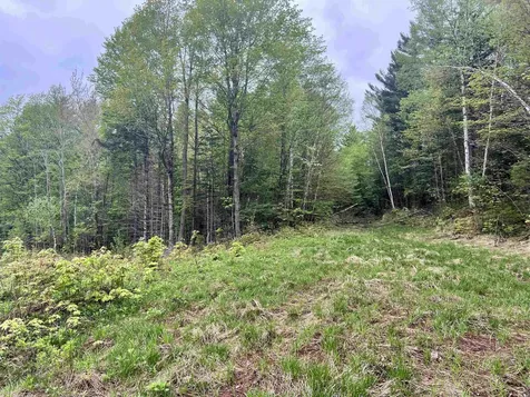 - Beck Pond Road Newark VT 05871