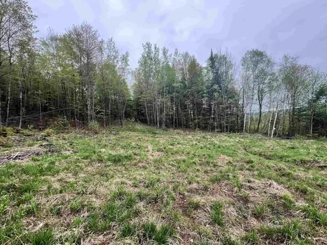 - Beck Pond Road Newark VT 05871