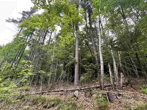 - Beck Pond Road Newark VT 05871