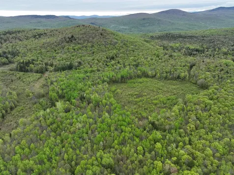 - Beck Pond Road Newark VT 05871