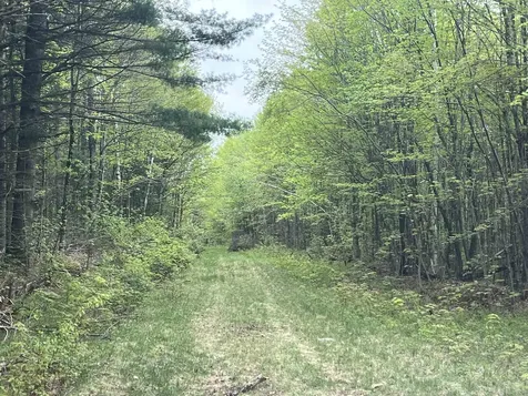 - Beck Pond Road Newark VT 05871