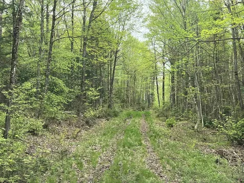 - Beck Pond Road Newark VT 05871