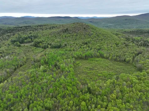 - Beck Pond Road Newark VT 05871