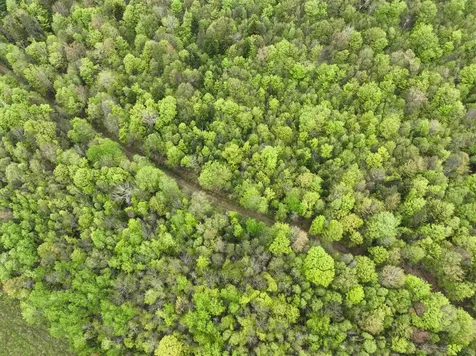 - Beck Pond Road Newark VT 05871