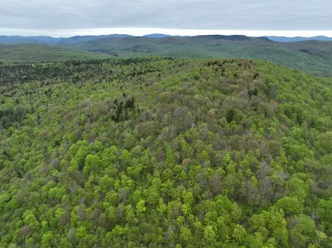 - Beck Pond Road Newark VT 05871