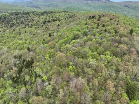 - Beck Pond Road Newark VT 05871