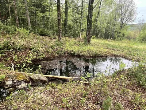 - Beck Pond Road Newark VT 05871