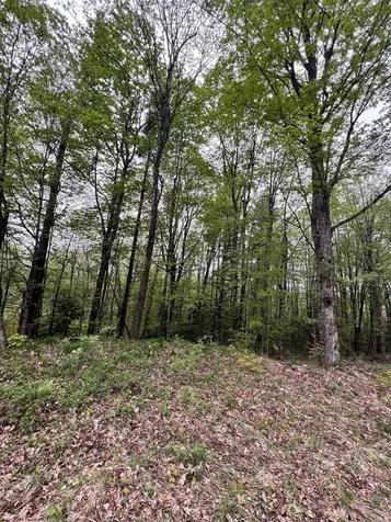 - Beck Pond Road Newark VT 05871