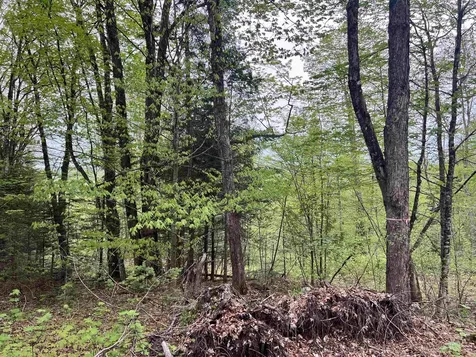 - Beck Pond Road Newark VT 05871