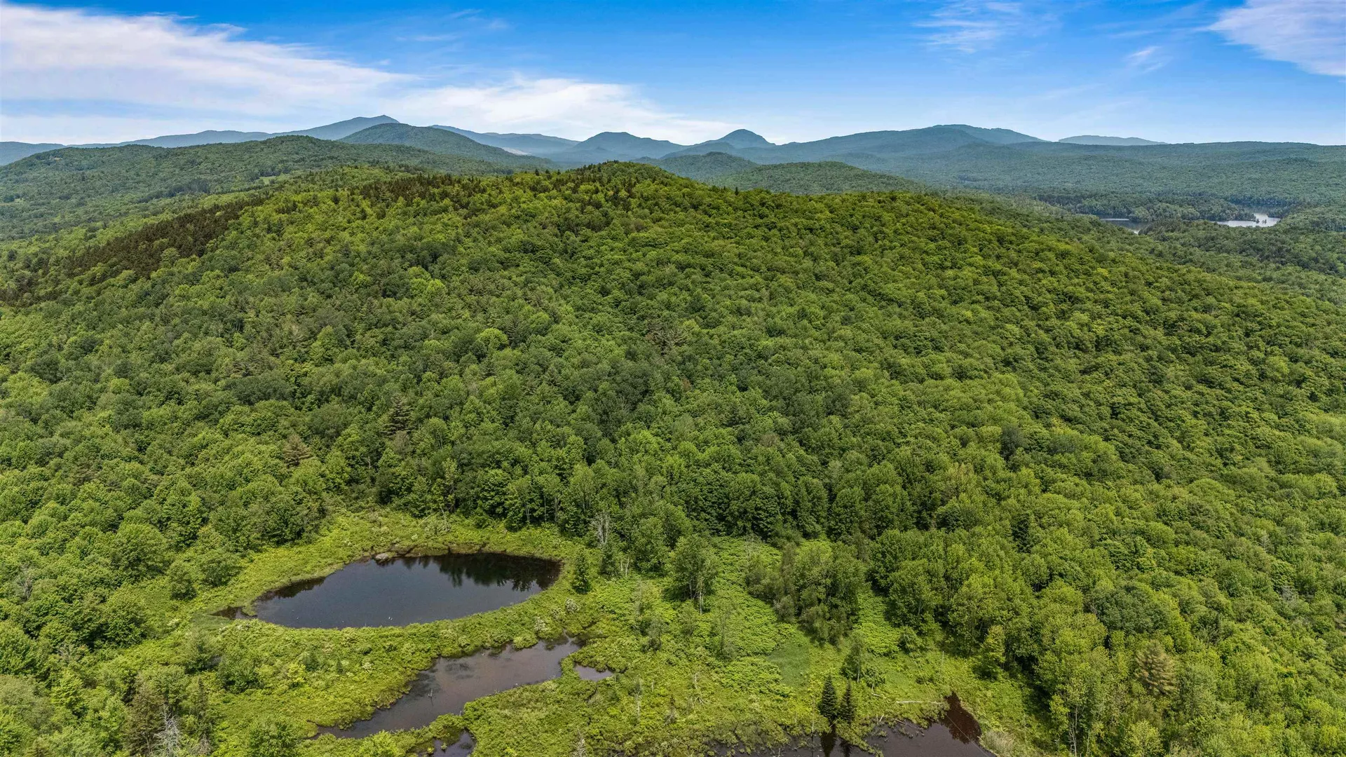 0 Davis Hill Road Hyde Park VT 05655