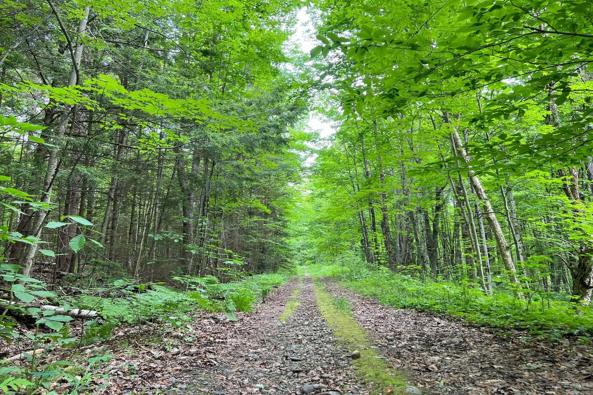 0 Davis Hill Road Hyde Park VT 05655
